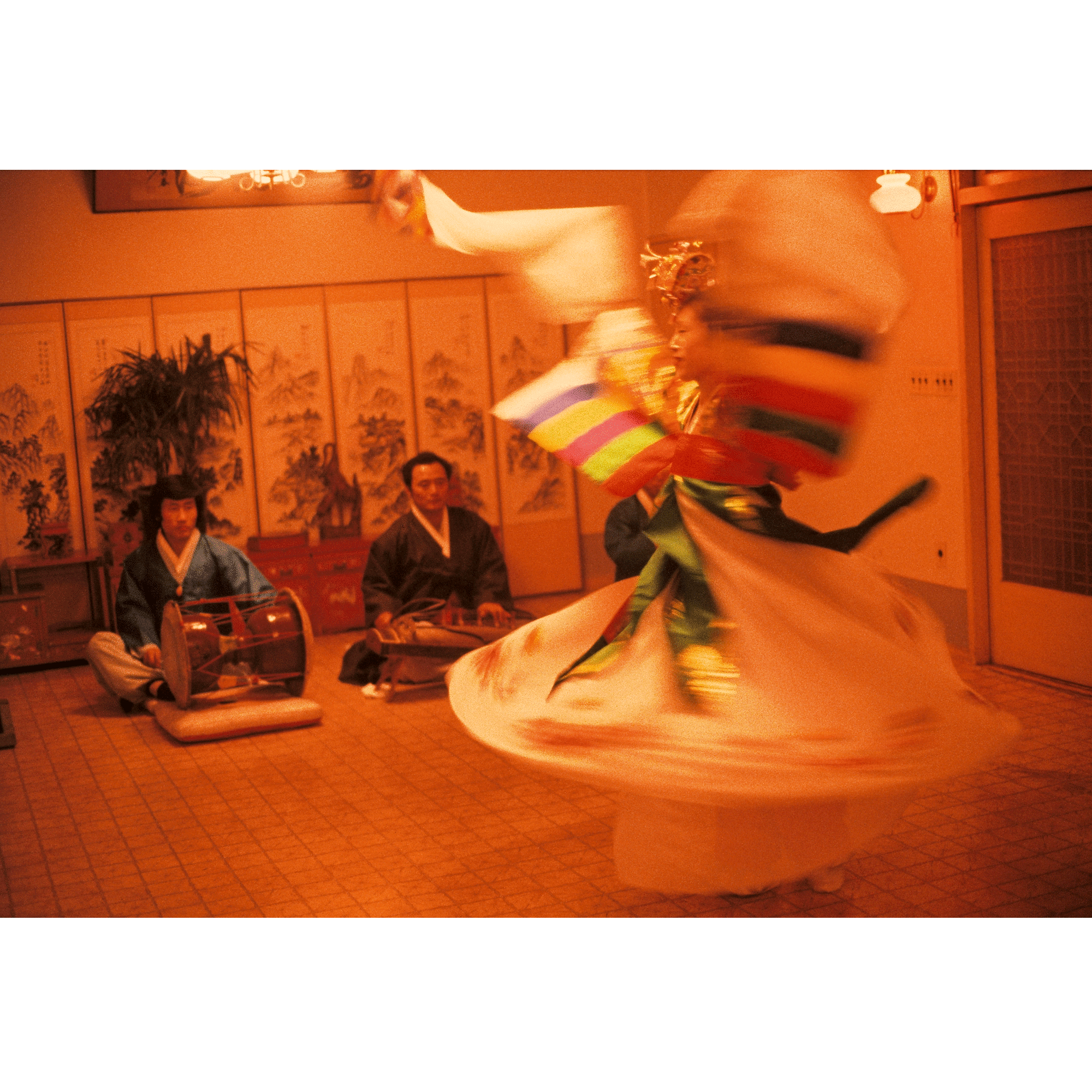 ファッション・アイ シルクロード - 画像 (8)