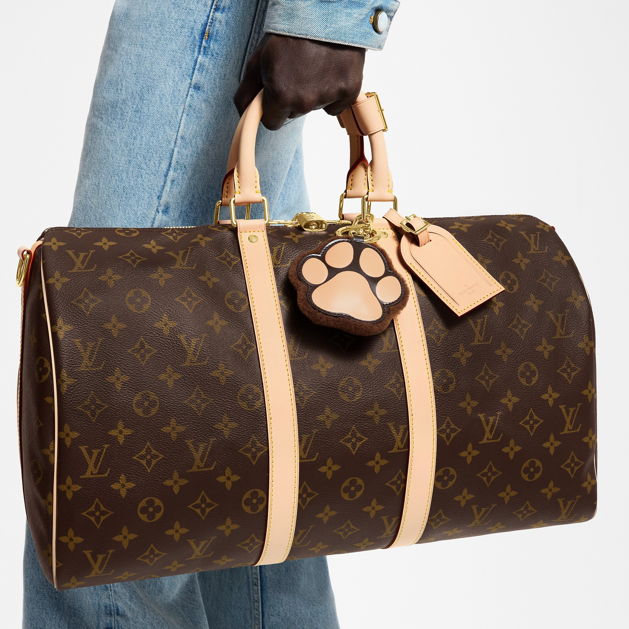 キーホルダー･LV パウ