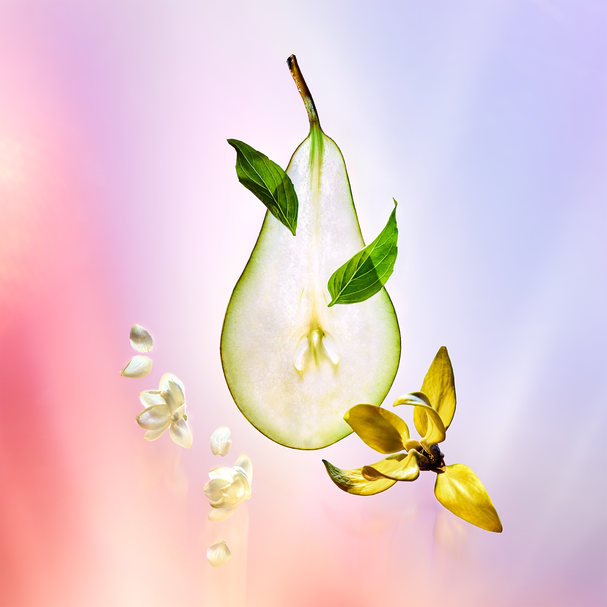 クール・バタントラベルスプレー レフィル - 画像 (2)